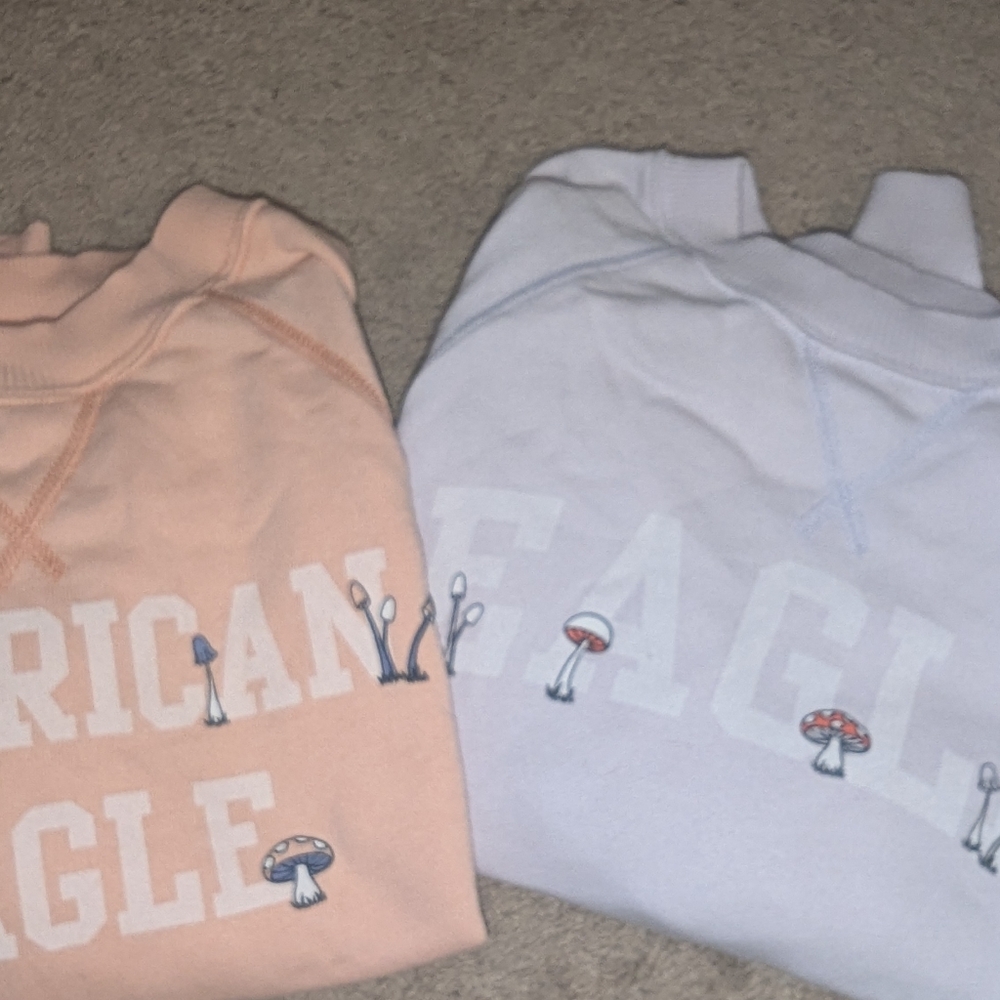 American Eagle Outfitters Peach Ribbed Top